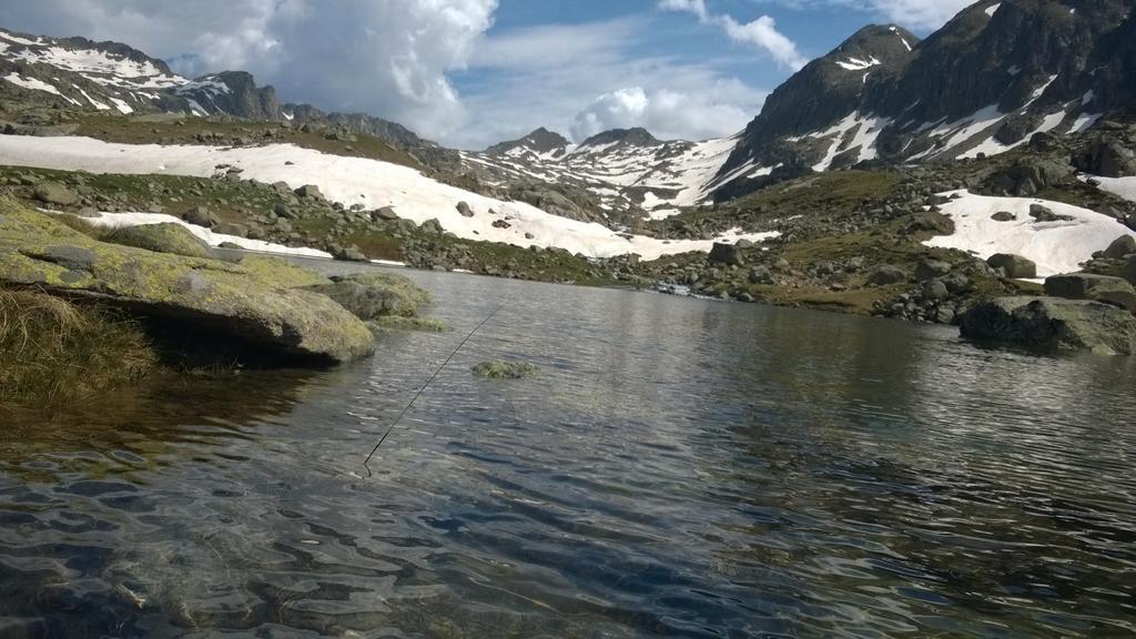 La Faiada Lägenhet El Pont de Suert Exteriör bild