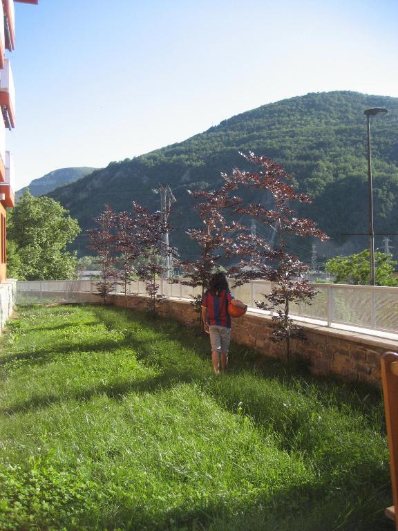 La Faiada Lägenhet El Pont de Suert Rum bild